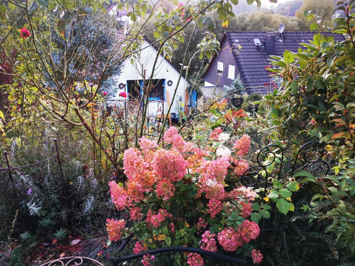 Ferienhaus Mit Riesen Garten, Drei Terrassen, Toller Aussicht Am Waldrand, Auch Als Monteur-Wohnung Hemer エクステリア 写真