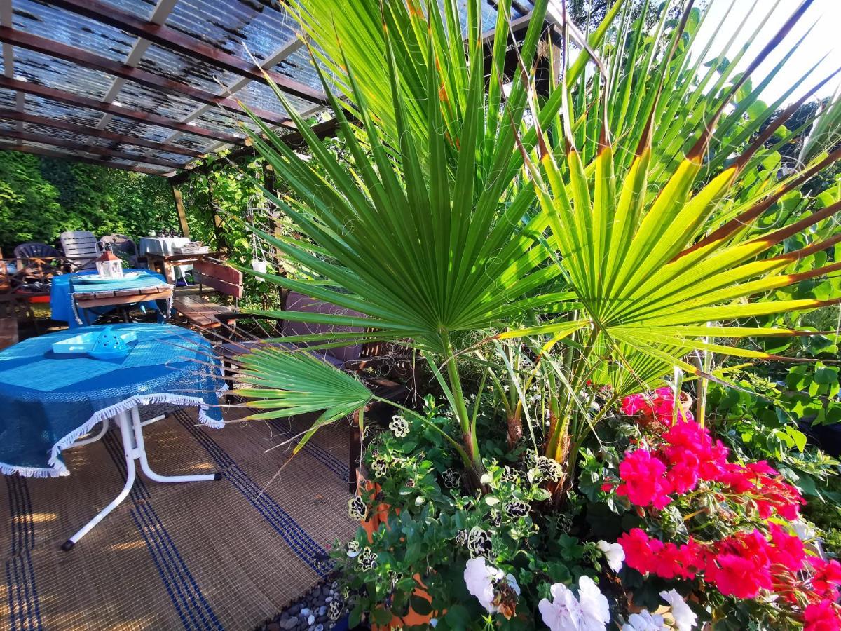 Ferienhaus Mit Riesen Garten, Drei Terrassen, Toller Aussicht Am Waldrand, Auch Als Monteur-Wohnung Hemer エクステリア 写真